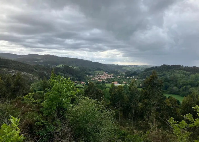 Laureles, 아파트 노발레스